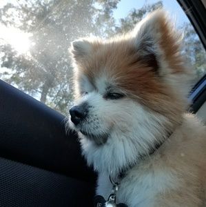 Meet your Posher, Vincci